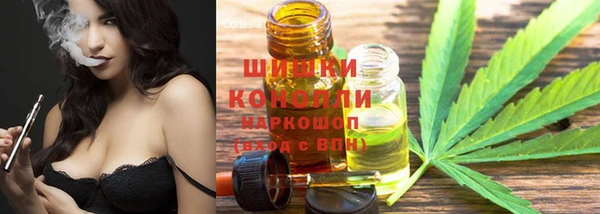 крисы Белоозёрский