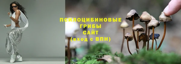 тгк Беломорск