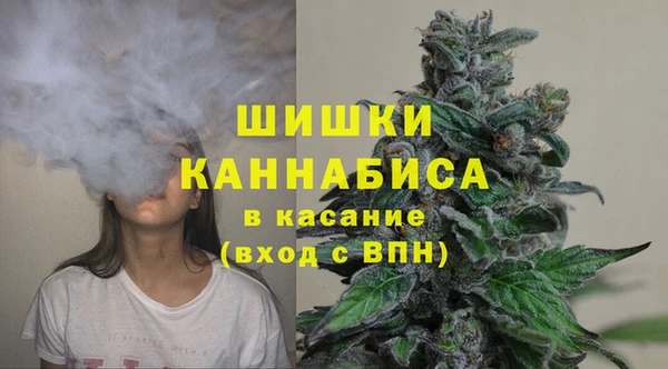крисы Белоозёрский