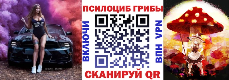 Купить закладки  Ардатов  Псилоцибиновые грибы Cubensis 